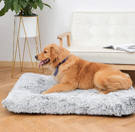 Memory Foam Pet Sofa Bed